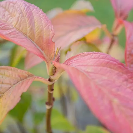 Auszeit Mit Waldgefluester 35231 شقة Hesel
