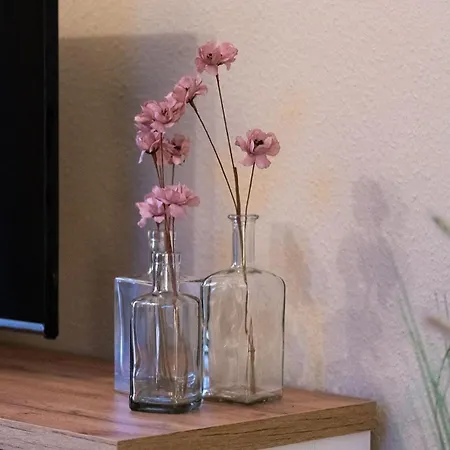 Auszeit Mit Waldgefluester 35231 *