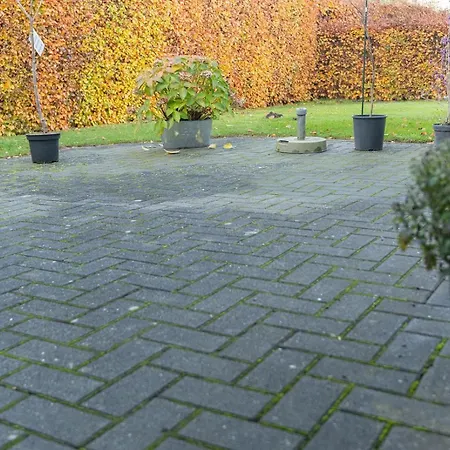 Auszeit Mit Waldgefluester 35231 Appartamento *