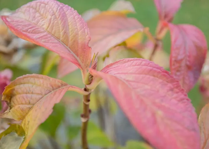 Auszeit Mit Waldgefluester 35231 Apartment Hesel