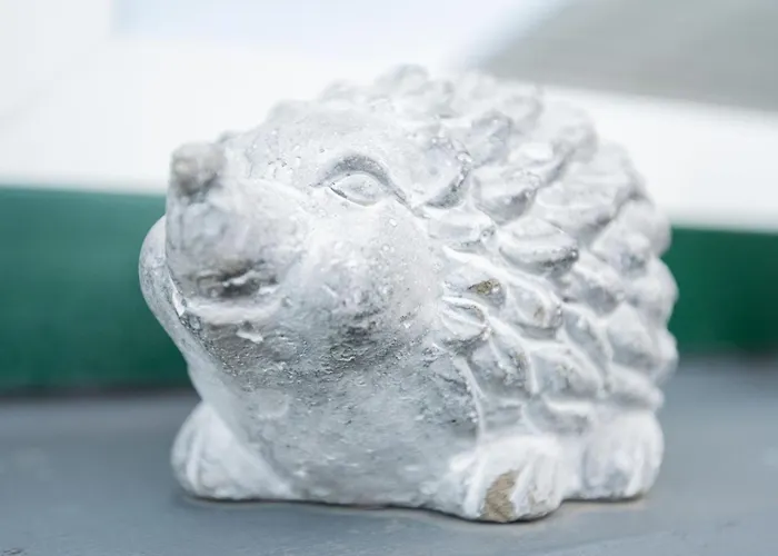 Auszeit Mit Waldgefluester 35231 *