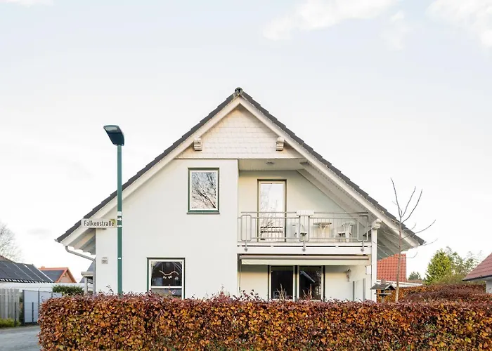 Auszeit Mit Waldgefluester 35231 * Hesel